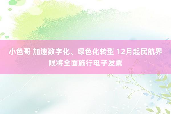 小色哥 加速数字化、绿色化转型 12月起民航界限将全面施行电子发票