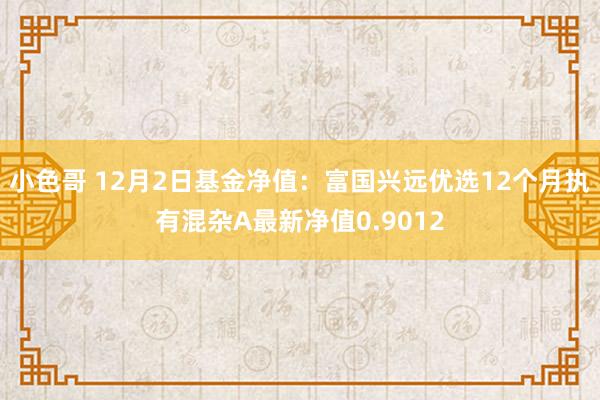 小色哥 12月2日基金净值：富国兴远优选12个月执有混杂A最新净值0.9012