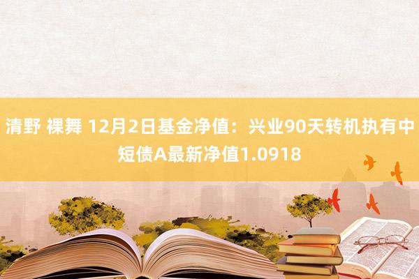 清野 裸舞 12月2日基金净值：兴业90天转机执有中短债A最新净值1.0918