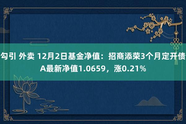 勾引 外卖 12月2日基金净值：招商添荣3个月定开债A最新净值1.0659，涨0.21%