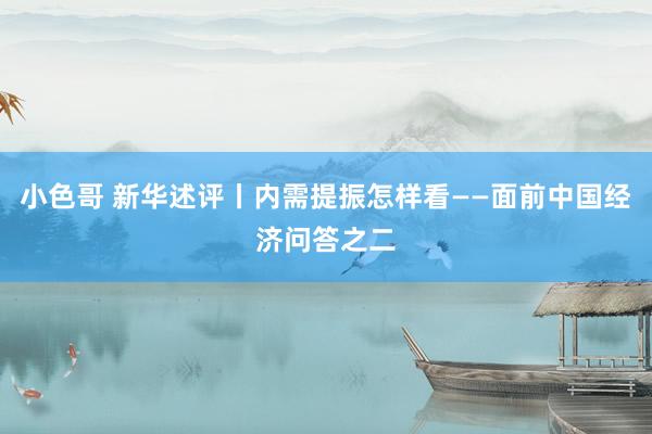 小色哥 新华述评丨内需提振怎样看——面前中国经济问答之二