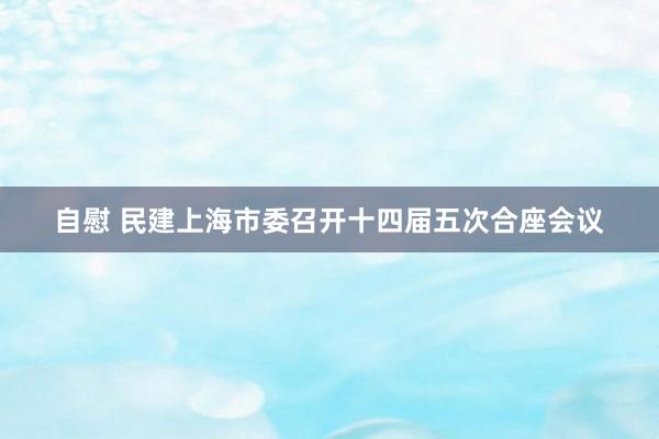 自慰 民建上海市委召开十四届五次合座会议