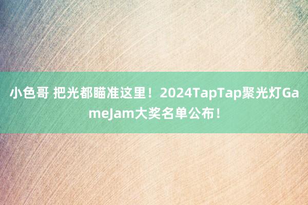 小色哥 把光都瞄准这里！2024TapTap聚光灯GameJam大奖名单公布！