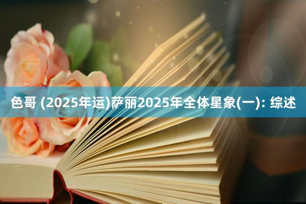 色哥 (2025年运)萨丽2025年全体星象(一): 综述