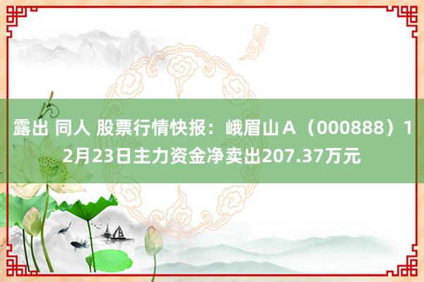 露出 同人 股票行情快报：峨眉山Ａ（000888）12月23日主力资金净卖出207.37万元