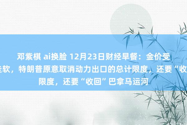 邓紫棋 ai换脸 12月23日财经早餐：金价受益于好意思元走软，特朗普原意取消动力出口的总计限度，还要“收回”巴拿马运河