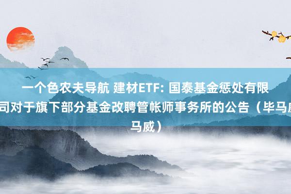 一个色农夫导航 建材ETF: 国泰基金惩处有限公司对于旗下部分基金改聘管帐师事务所的公告（毕马威）