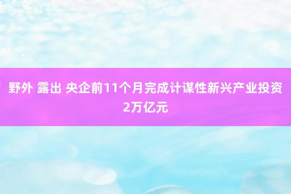 野外 露出 央企前11个月完成计谋性新兴产业投资2万亿元