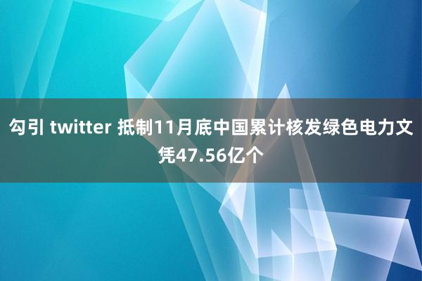 勾引 twitter 抵制11月底中国累计核发绿色电力文凭47.56亿个