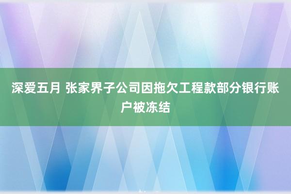 深爱五月 张家界子公司因拖欠工程款部分银行账户被冻结