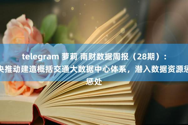 telegram 萝莉 南财数据周报（28期）：中央推动建造概括交通大数据中心体系，潜入数据资源惩处