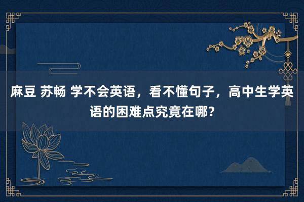 麻豆 苏畅 学不会英语，看不懂句子，高中生学英语的困难点究竟在哪？