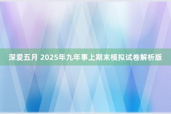 深爱五月 2025年九年事上期末模拟试卷解析版