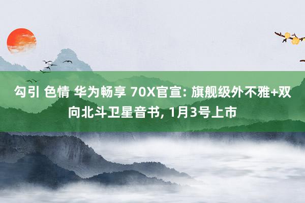 勾引 色情 华为畅享 70X官宣: 旗舰级外不雅+双向北斗卫星音书， 1月3号上市