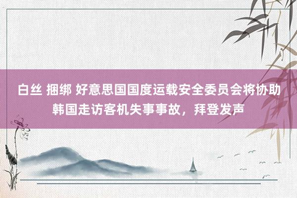 白丝 捆绑 好意思国国度运载安全委员会将协助韩国走访客机失事事故，拜登发声