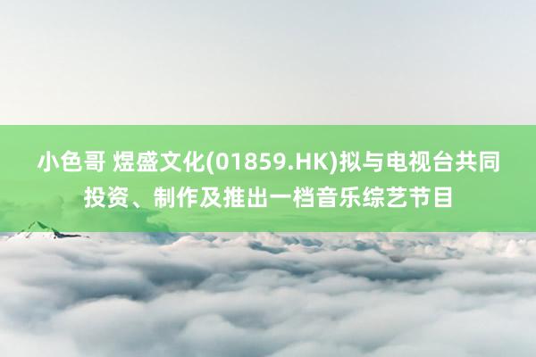 小色哥 煜盛文化(01859.HK)拟与电视台共同投资、制作及推出一档音乐综艺节目