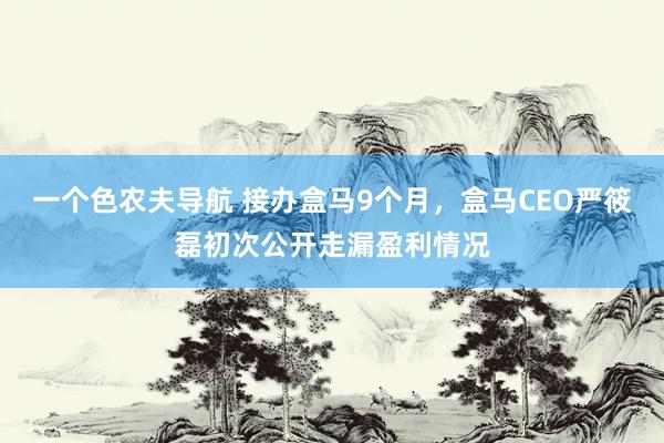 一个色农夫导航 接办盒马9个月，盒马CEO严筱磊初次公开走漏盈利情况