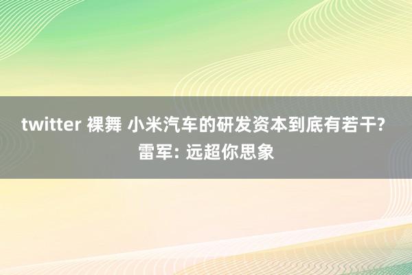 twitter 裸舞 小米汽车的研发资本到底有若干? 雷军: 远超你思象