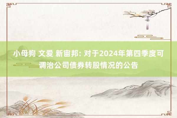 小母狗 文爱 新宙邦: 对于2024年第四季度可调治公司债券转股情况的公告