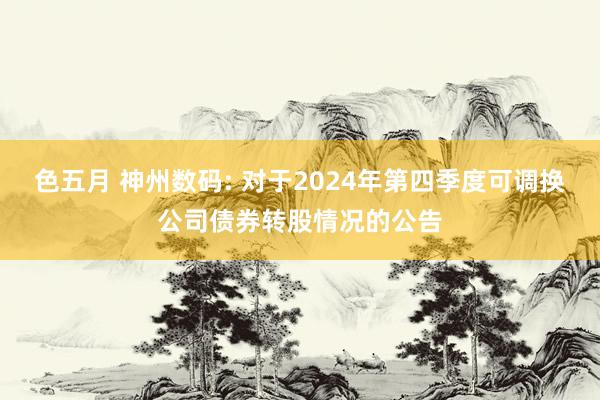 色五月 神州数码: 对于2024年第四季度可调换公司债券转股情况的公告