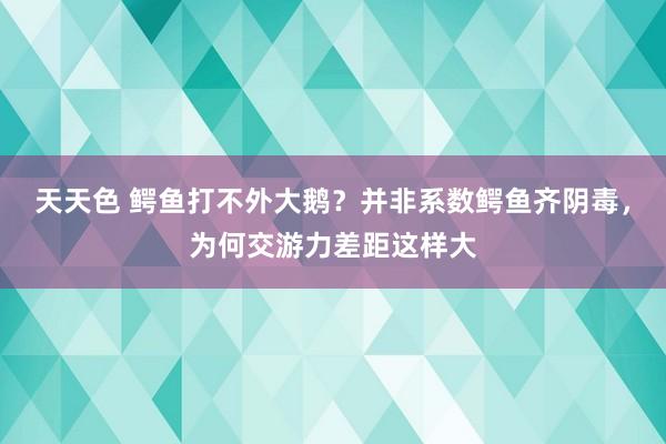 天天色 鳄鱼打不外大鹅？并非系数鳄鱼齐阴毒，为何交游力差距这样大