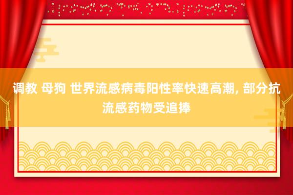 调教 母狗 世界流感病毒阳性率快速高潮， 部分抗流感药物受追捧