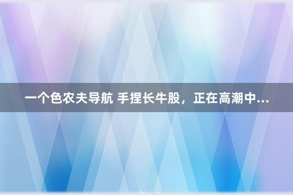 一个色农夫导航 手捏长牛股，正在高潮中...