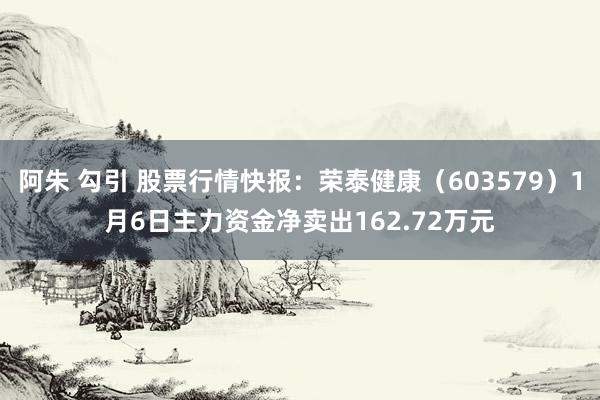 阿朱 勾引 股票行情快报：荣泰健康（603579）1月6日主力资金净卖出162.72万元