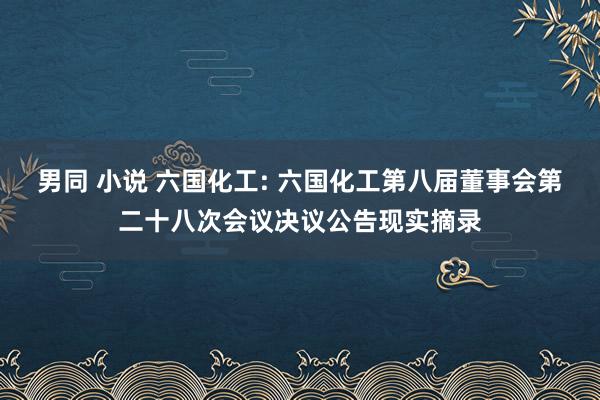 男同 小说 六国化工: 六国化工第八届董事会第二十八次会议决议公告现实摘录