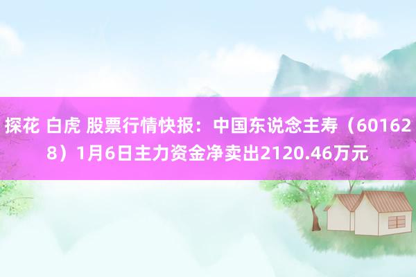 探花 白虎 股票行情快报：中国东说念主寿（601628）1月6日主力资金净卖出2120.46万元