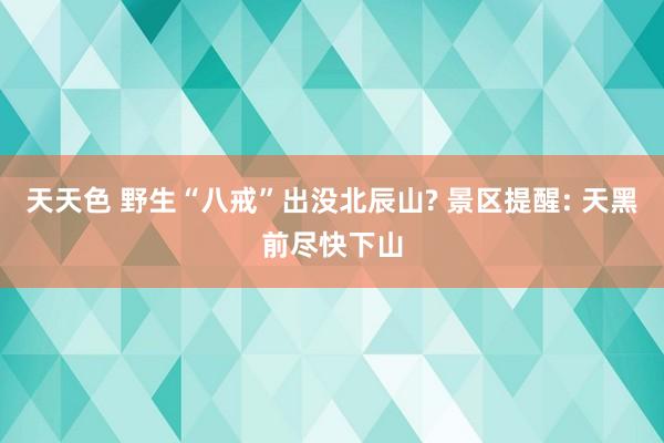 天天色 野生“八戒”出没北辰山? 景区提醒: 天黑前尽快下山