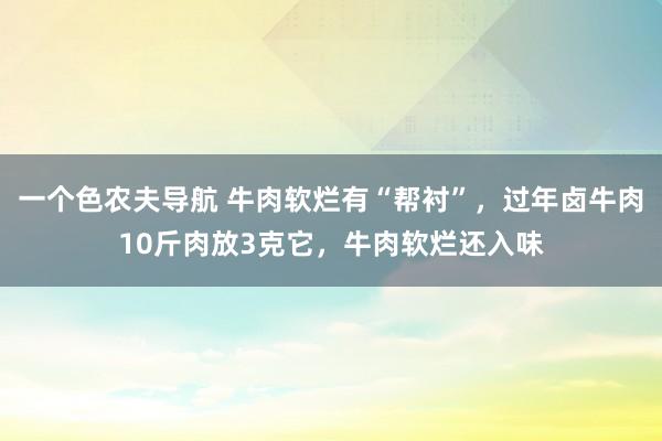 一个色农夫导航 牛肉软烂有“帮衬”，过年卤牛肉10斤肉放3克它，牛肉软烂还入味