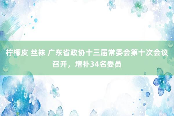 柠檬皮 丝袜 广东省政协十三届常委会第十次会议召开，增补34名委员