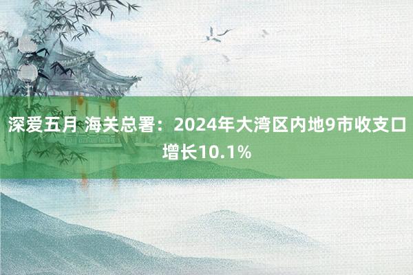 深爱五月 海关总署：2024年大湾区内地9市收支口增长10.1%