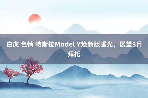 白虎 色情 特斯拉Model Y焕新版曝光，展望3月拜托